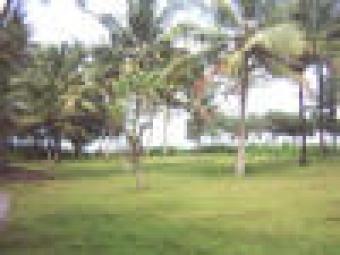 Sri lankan beach front land. Balapitiya